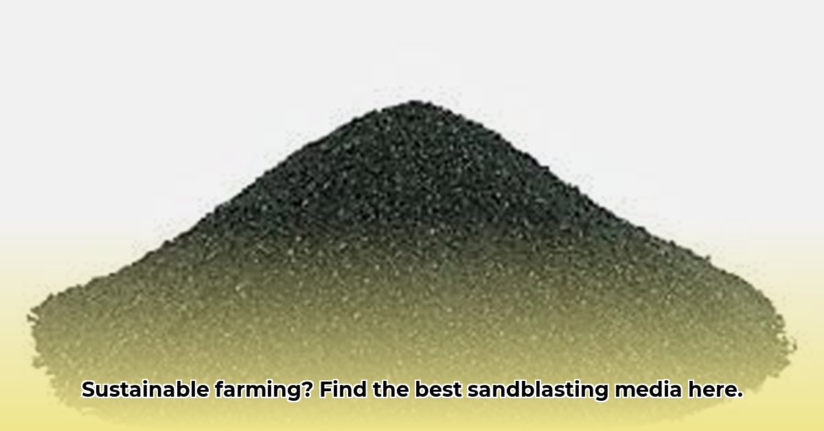 sandblasting-media-tractor-supply